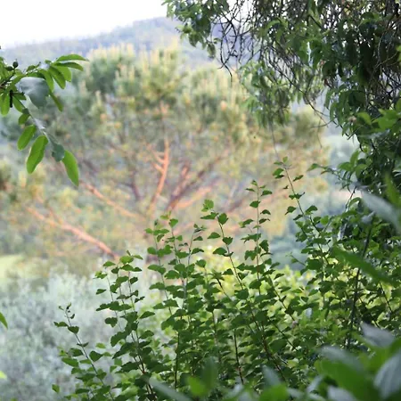 Villa 'la Buia' Beautiful In Umbria With Private Pool & Gardens