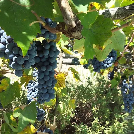 'la Buia' Beautiful In Umbria With Private Pool & Gardens 빌라 *