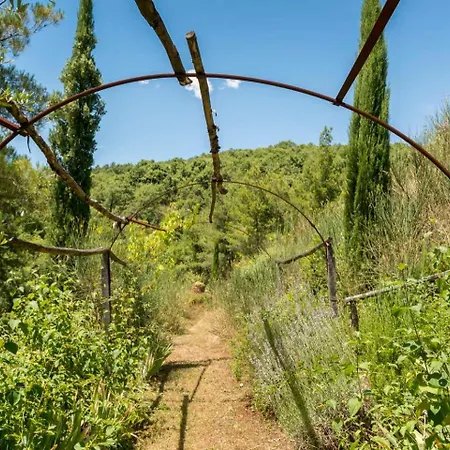 빌라 'la Buia' Beautiful In Umbria With Private Pool & Gardens 몬테 산타 마리아 티베리나