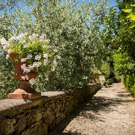Villa 'la Buia' Beautiful In Umbria With Private Pool & Gardens